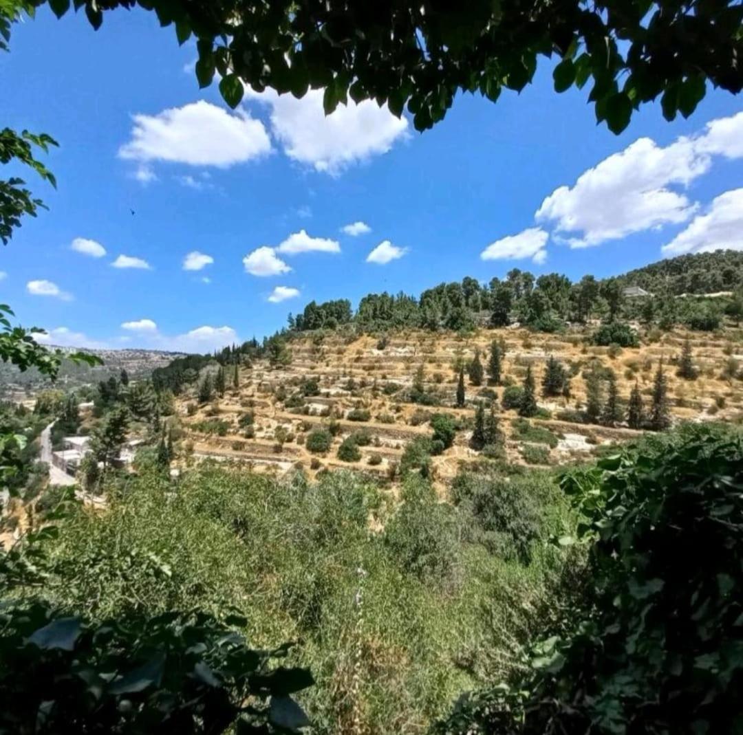 View Of The Valley Guest House Jeruzalém Exteriér fotografie